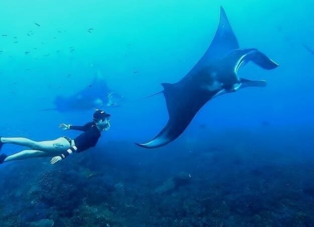 Crystal Bay Snorkeling