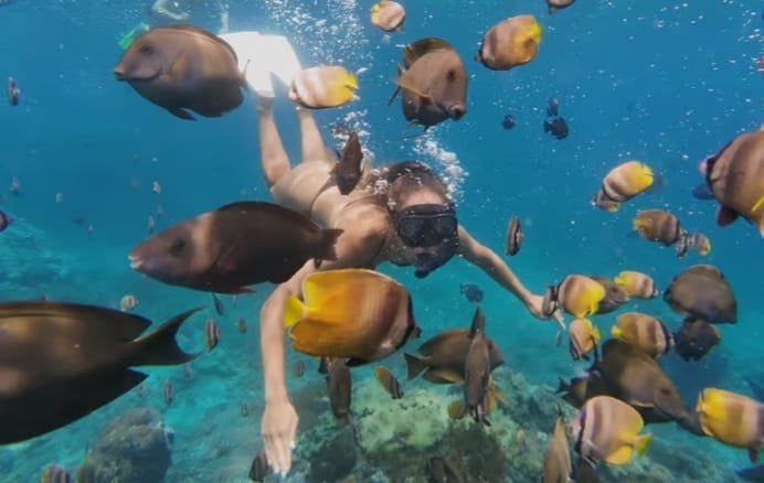 Manta Point Snorkeling
